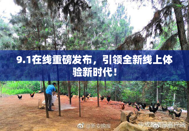 9.1在线重磅发布，引领全新线上体验新时代！