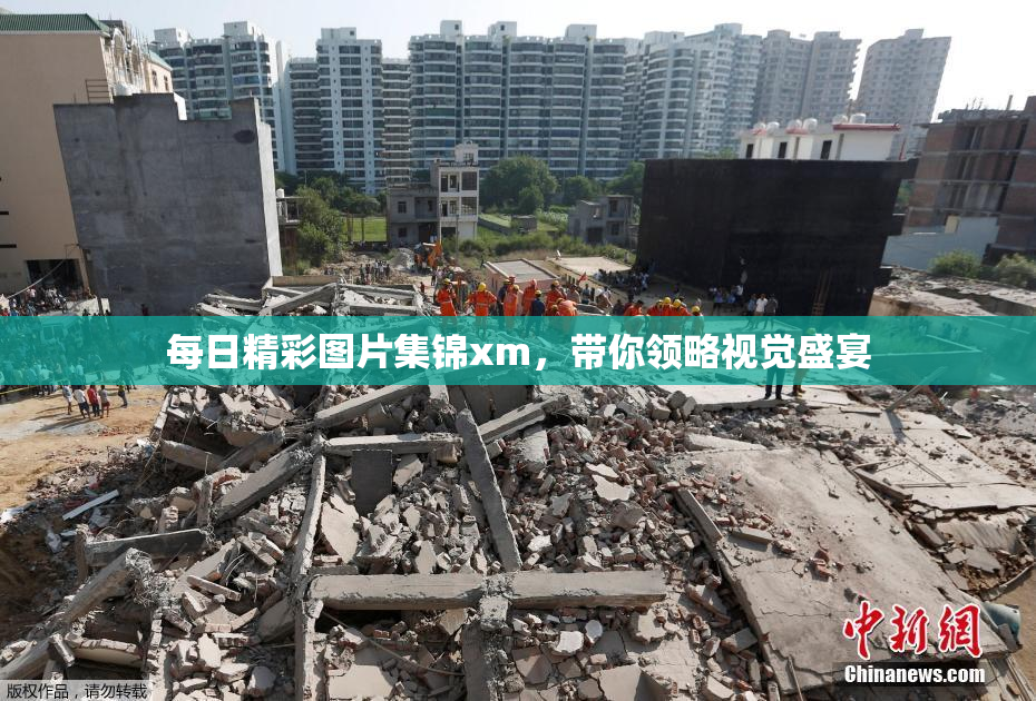 每日精彩图片集锦xm，带你领略视觉盛宴