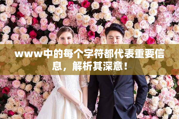 www中的每个字符都代表重要信息，解析其深意！