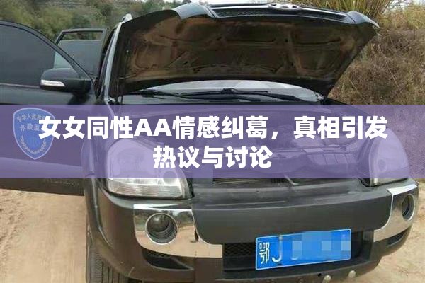女女同性AA情感纠葛，真相引发热议与讨论