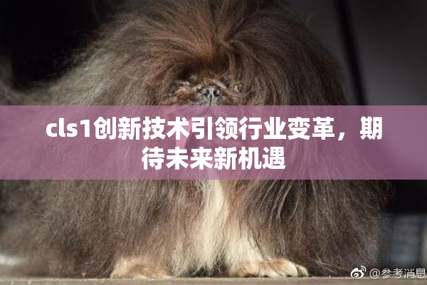 cls1创新技术引领行业变革，期待未来新机遇