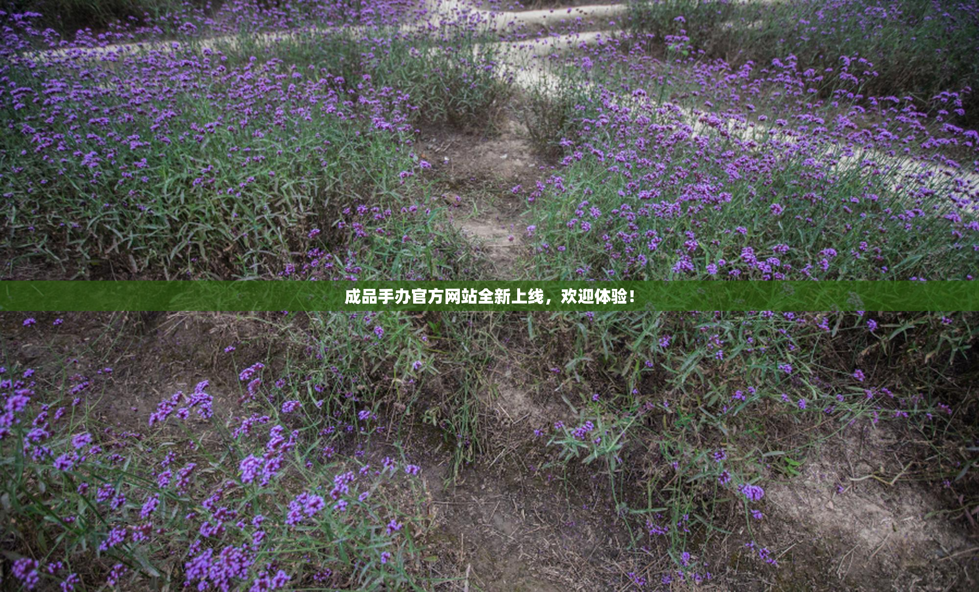 成品手办官方网站全新上线，欢迎体验！