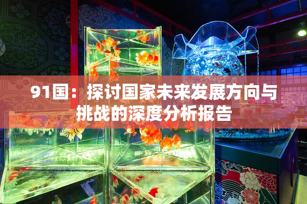 91国：探讨国家未来发展方向与挑战的深度分析报告