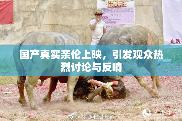 国产真实亲伦上映，引发观众热烈讨论与反响