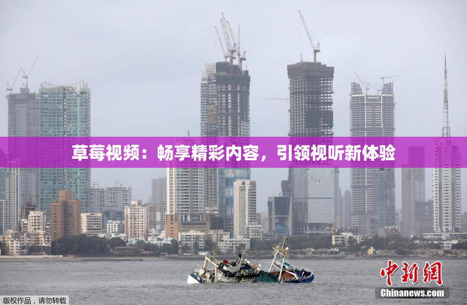 草莓视频：畅享精彩内容，引领视听新体验