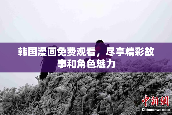 韩国漫画免费观看，尽享精彩故事和角色魅力
