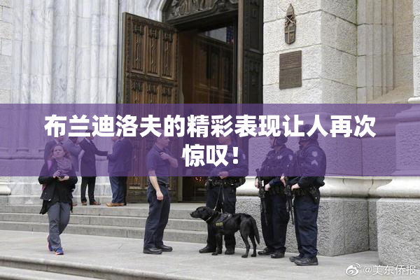 布兰迪洛夫的精彩表现让人再次惊叹！