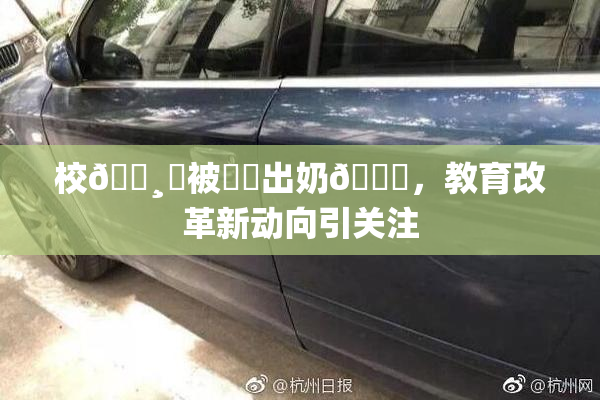 校🌸‌被❌‌出奶🔞，教育改革新动向引关注