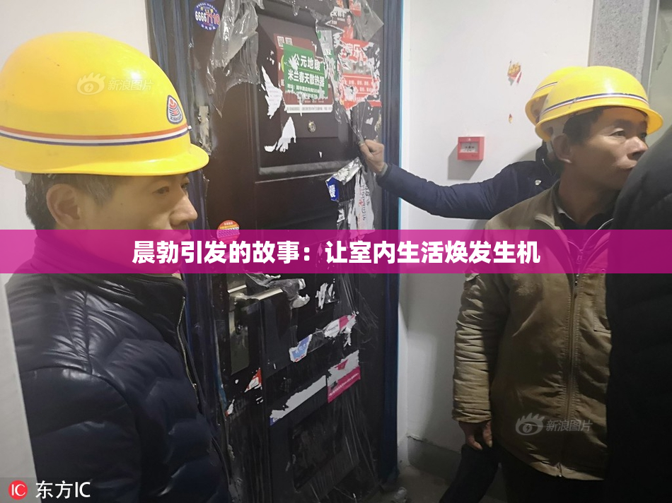 晨勃引发的故事：让室内生活焕发生机