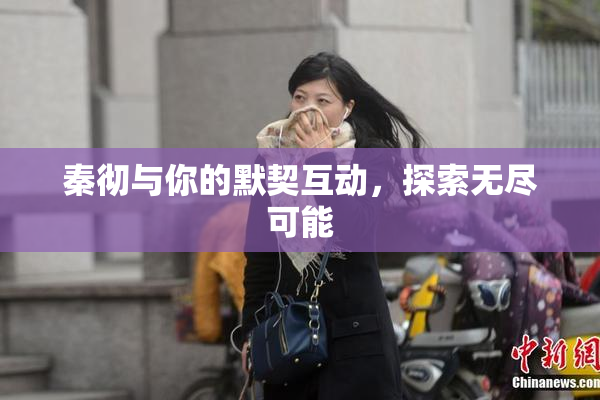 秦彻与你的默契互动，探索无尽可能