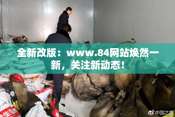 全新改版：www.84网站焕然一新，关注新动态！