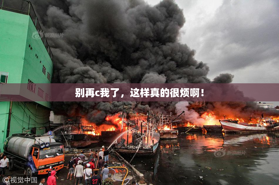 别再c我了，这样真的很烦啊！