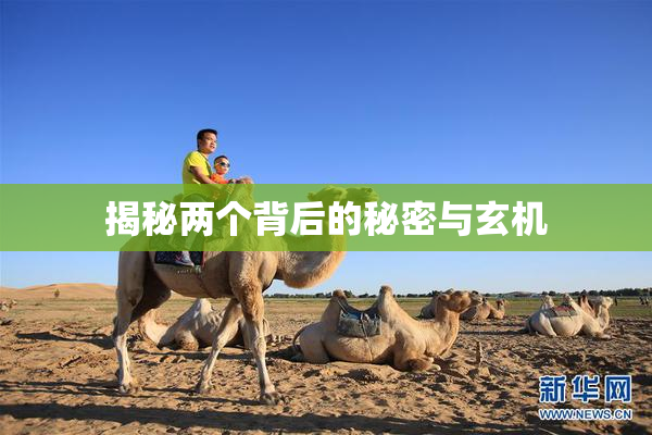揭秘两个背后的秘密与玄机