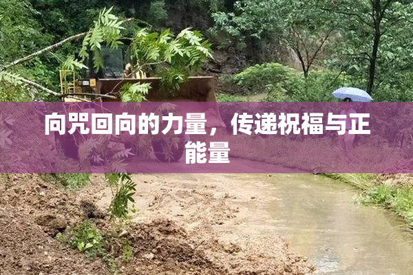向咒回向的力量，传递祝福与正能量