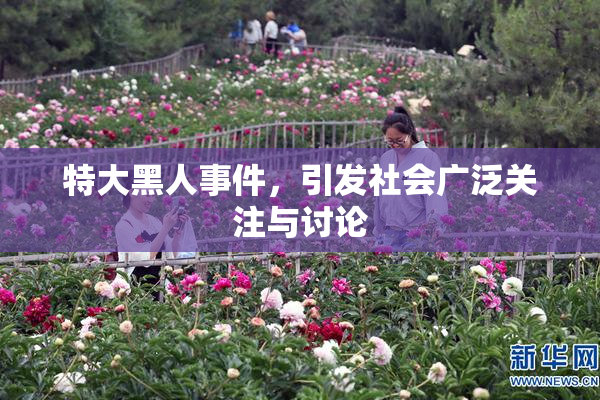 特大黑人事件，引发社会广泛关注与讨论