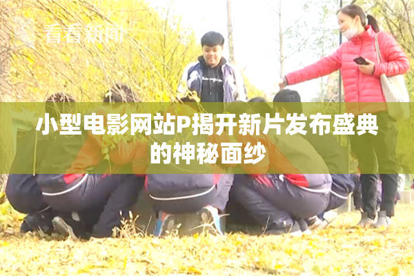 小型电影网站P揭开新片发布盛典的神秘面纱