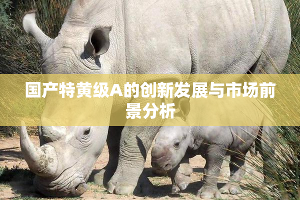 国产特黄级A的创新发展与市场前景分析
