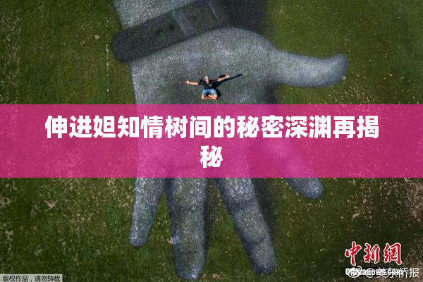 伸进妲知情树间的秘密深渊再揭秘