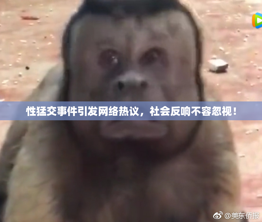 性猛交事件引发网络热议，社会反响不容忽视！