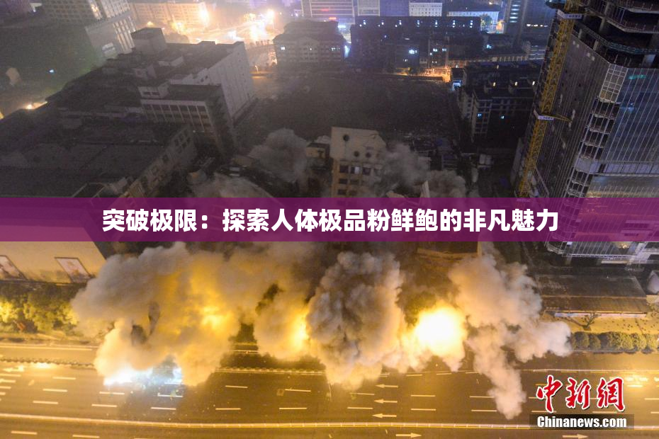 突破极限：探索人体极品粉鲜鲍的非凡魅力