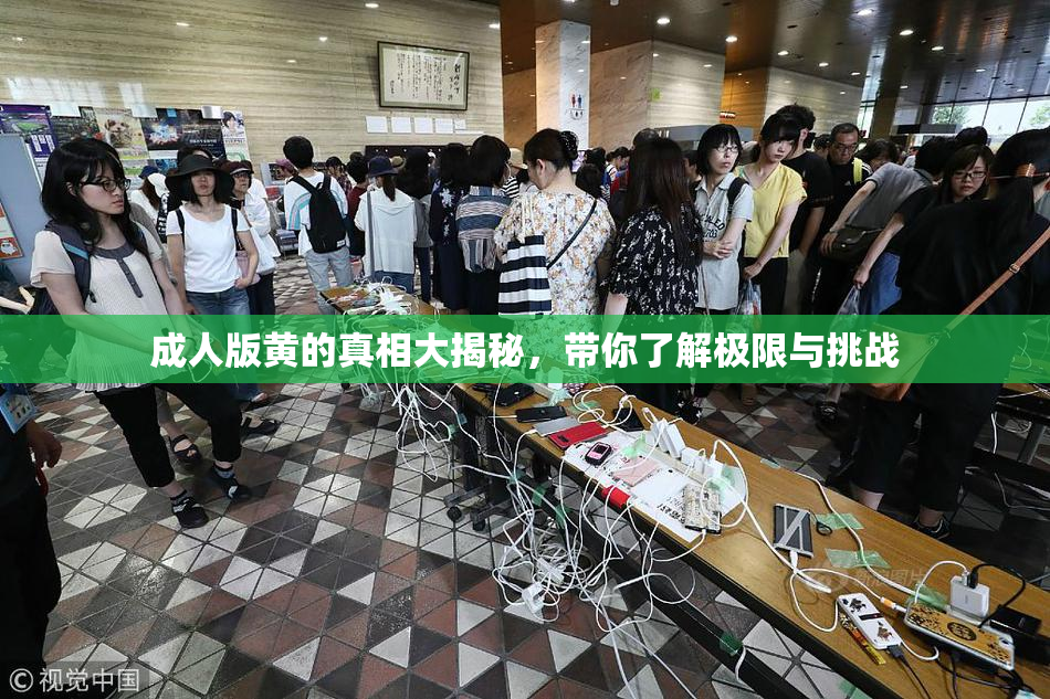 成人版黄的真相大揭秘，带你了解极限与挑战