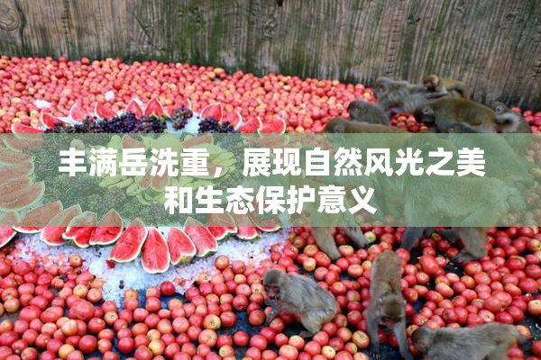 丰满岳洗重，展现自然风光之美和生态保护意义