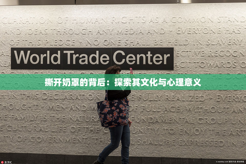 撕开奶罩的背后：探索其文化与心理意义