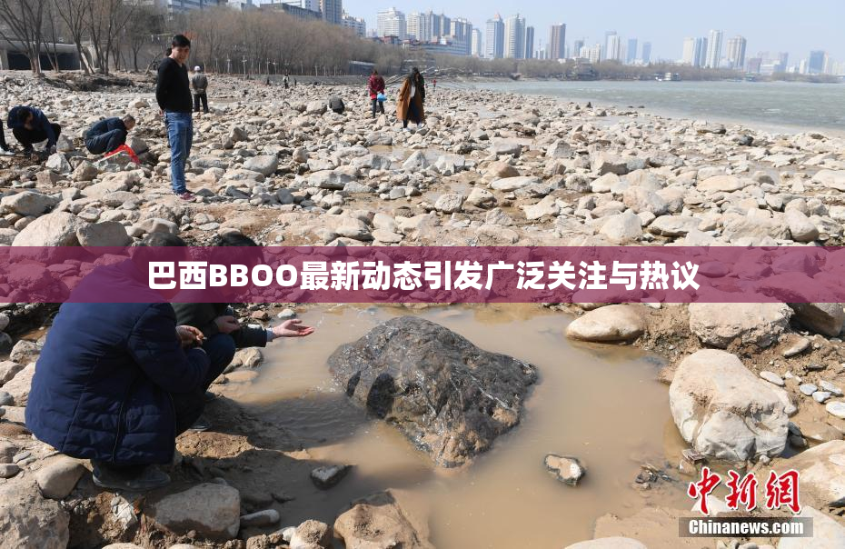 巴西BBOO最新动态引发广泛关注与热议