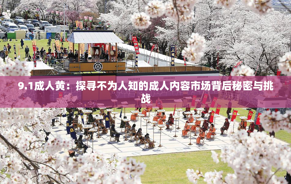 9.1成人黄：探寻不为人知的成人内容市场背后秘密与挑战