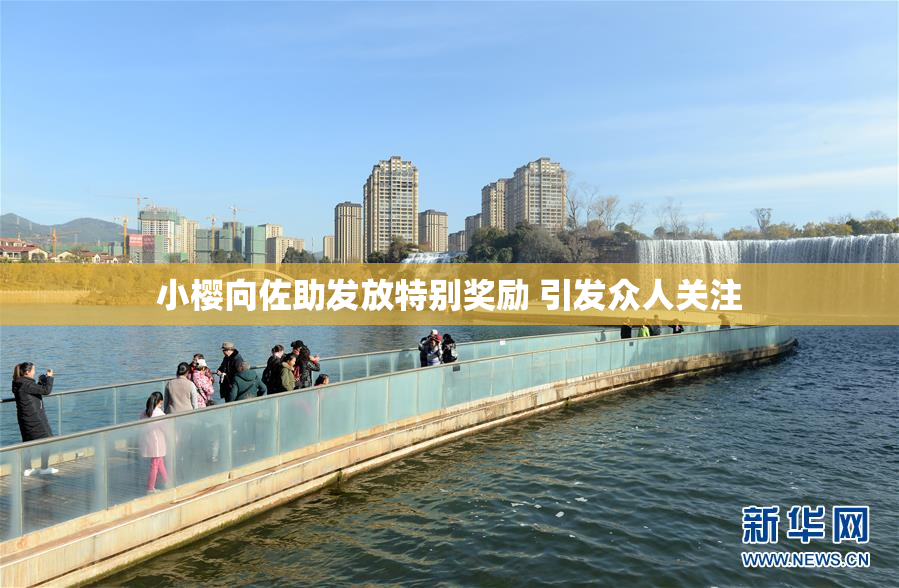 小樱向佐助发放特别奖励 引发众人关注