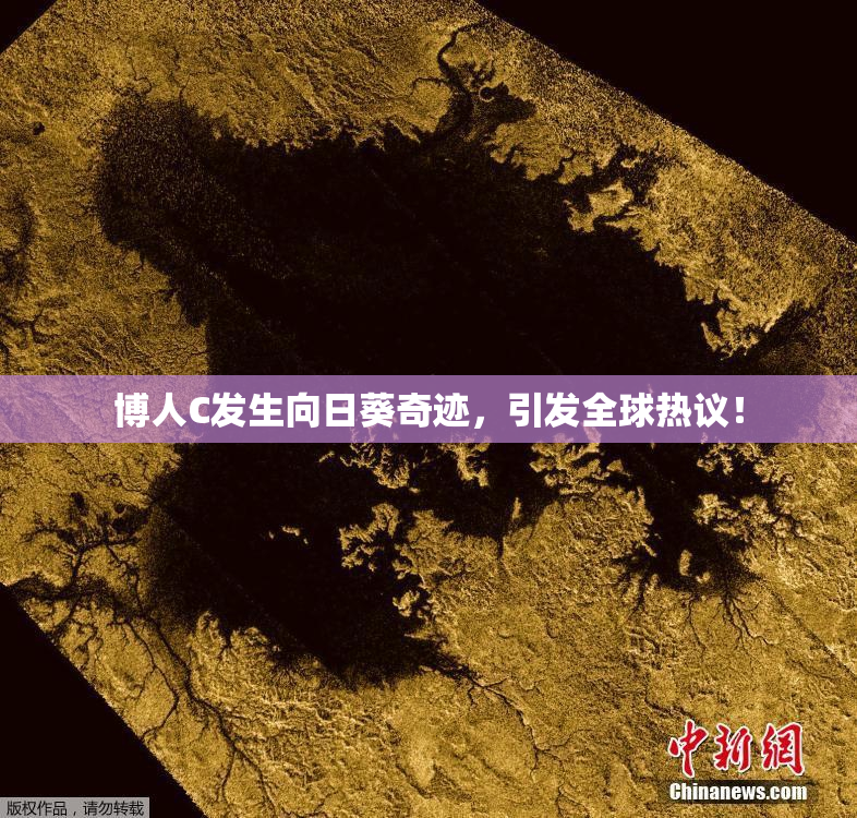 博人C发生向日葵奇迹，引发全球热议！