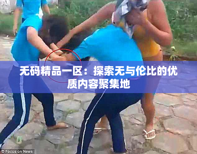 无码精品一区：探索无与伦比的优质内容聚集地