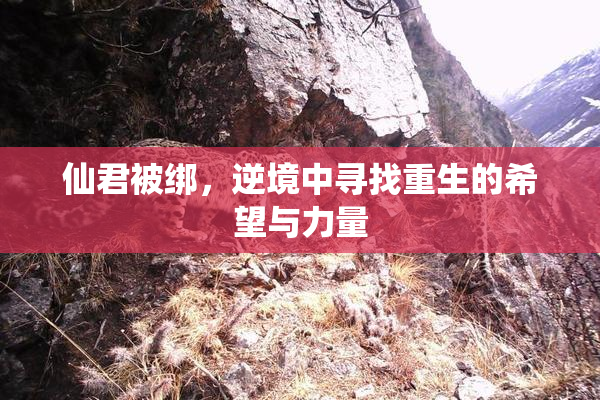 仙君被绑，逆境中寻找重生的希望与力量