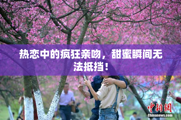 热恋中的疯狂亲吻，甜蜜瞬间无法抵挡！