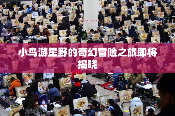 小鸟游星野的奇幻冒险之旅即将揭晓