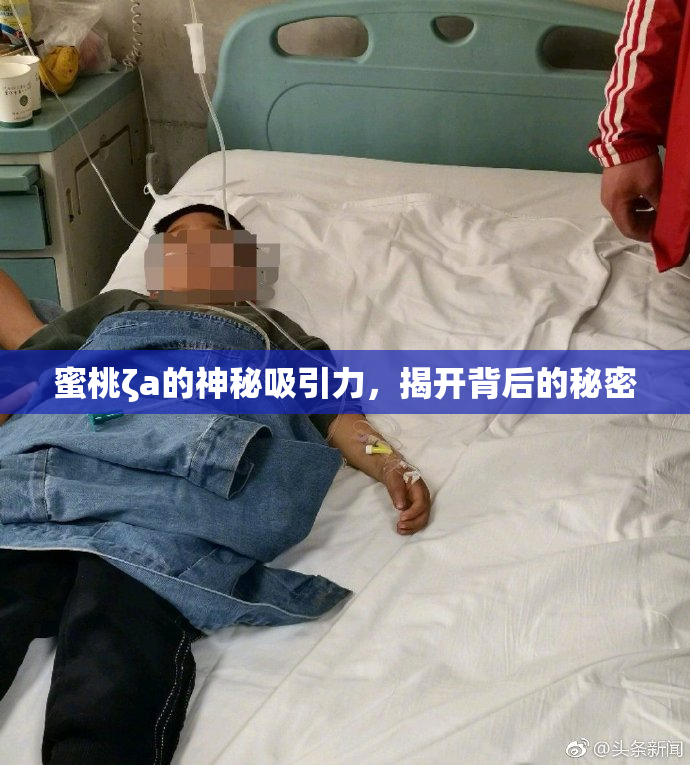蜜桃ζa的神秘吸引力，揭开背后的秘密