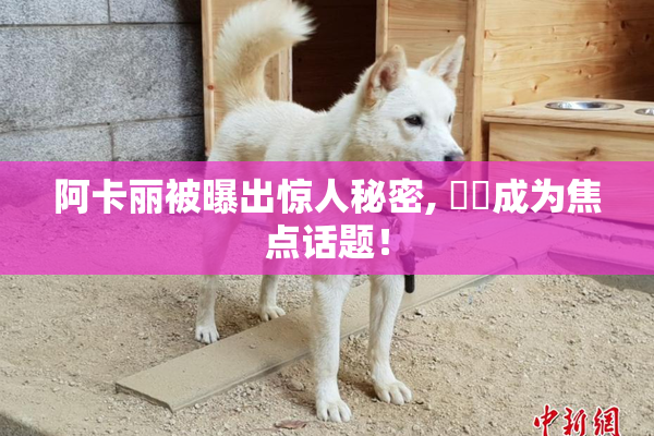 阿卡丽被曝出惊人秘密, ❌‌成为焦点话题！