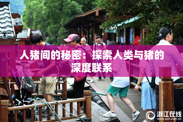 人猪间的秘密：探索人类与猪的深度联系