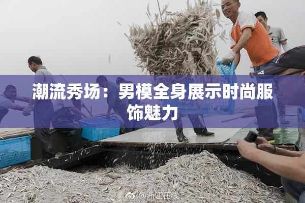 潮流秀场：男模全身展示时尚服饰魅力