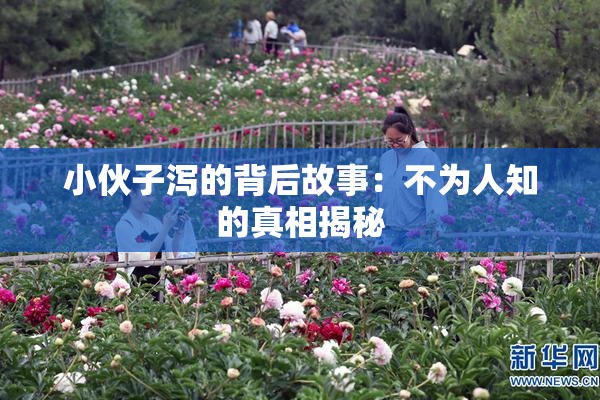 小伙子泻的背后故事：不为人知的真相揭秘