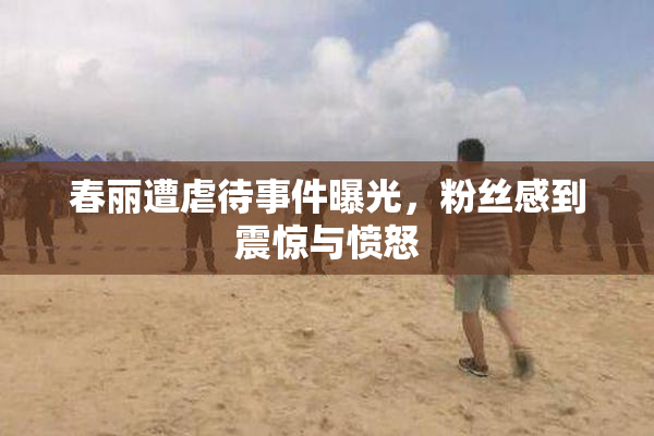 春丽遭虐待事件曝光，粉丝感到震惊与愤怒