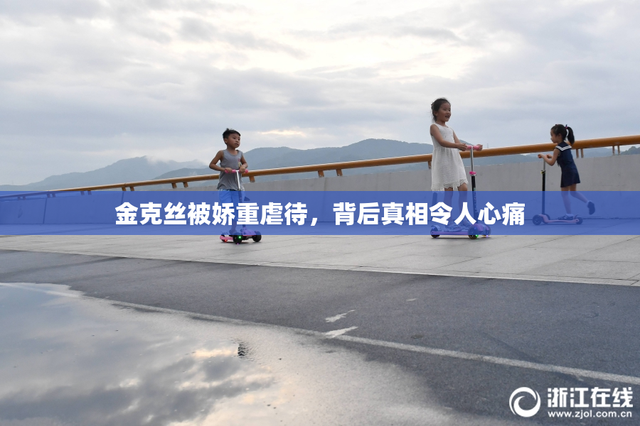 金克丝被娇重虐待，背后真相令人心痛