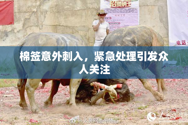 棉签意外刺入，紧急处理引发众人关注