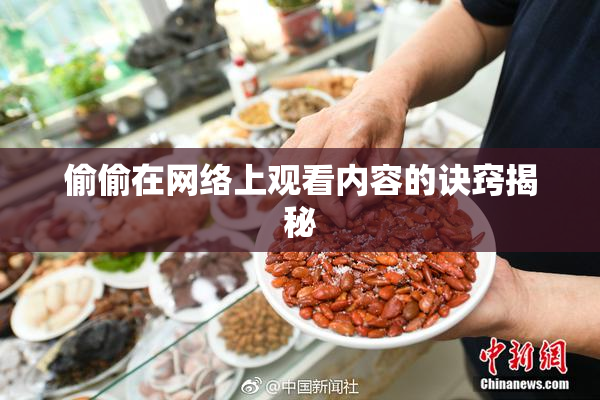 偷偷在网络上观看内容的诀窍揭秘