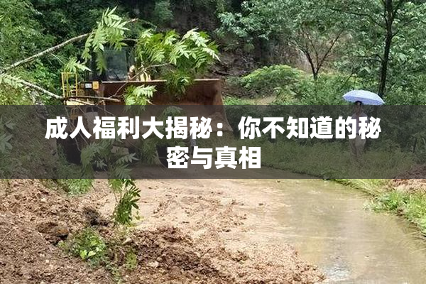 成人福利大揭秘：你不知道的秘密与真相