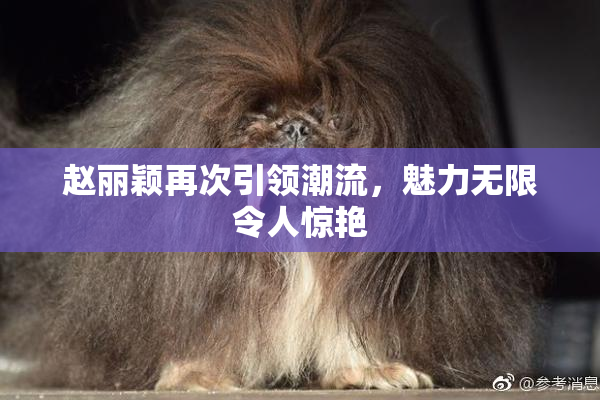 赵丽颖再次引领潮流，魅力无限令人惊艳