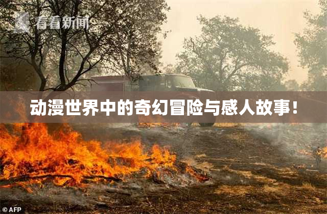 动漫世界中的奇幻冒险与感人故事！
