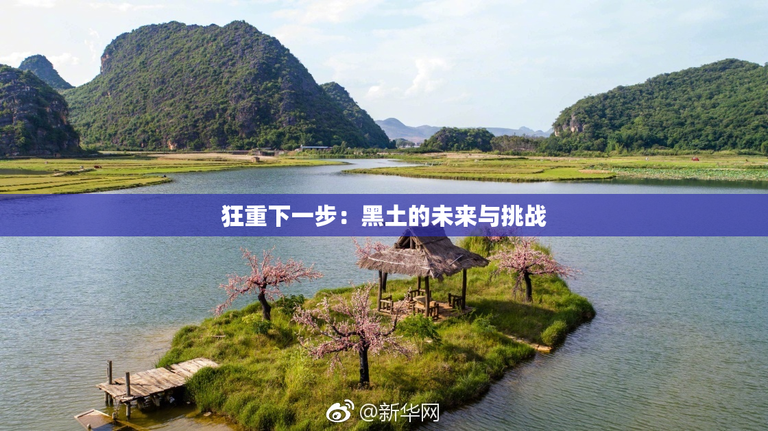 狂重下一步：黑土的未来与挑战
