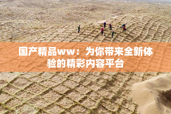 国产精品ww：为你带来全新体验的精彩内容平台