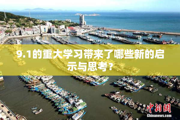 9.1的重大学习带来了哪些新的启示与思考？
